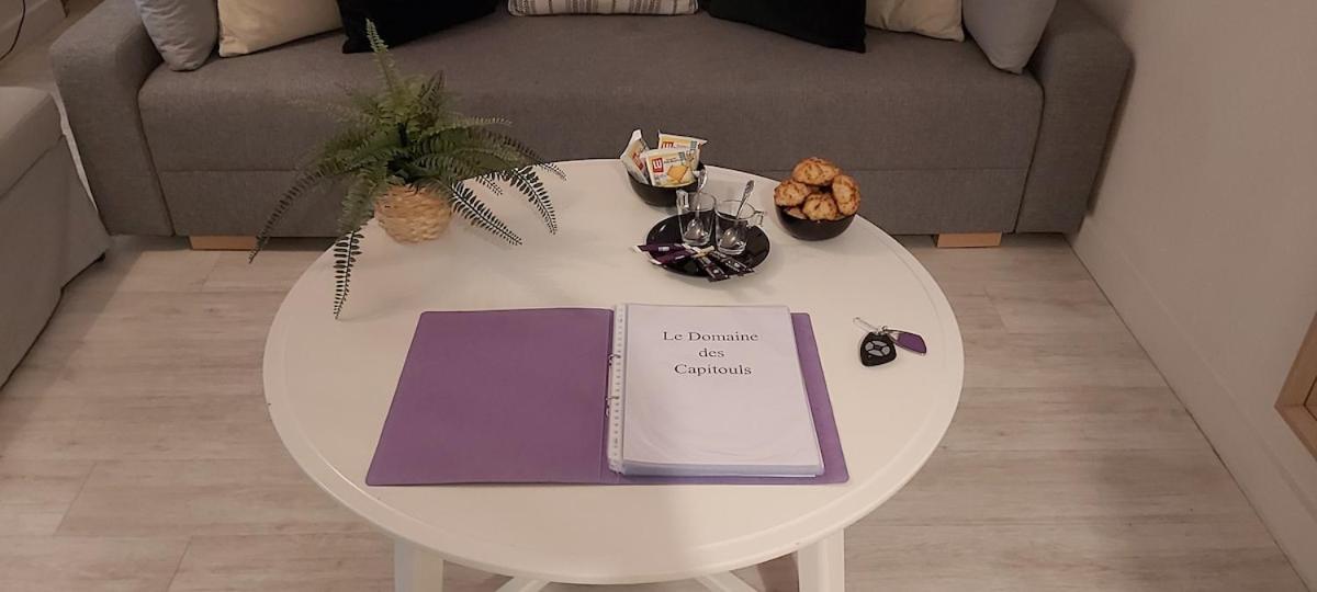 Les Capitouls - Avec Entree Autonome, Clim Neuve, Jardin, Parking Prive & Sa Piscine ! - Apartman Toulouse Kültér fotó