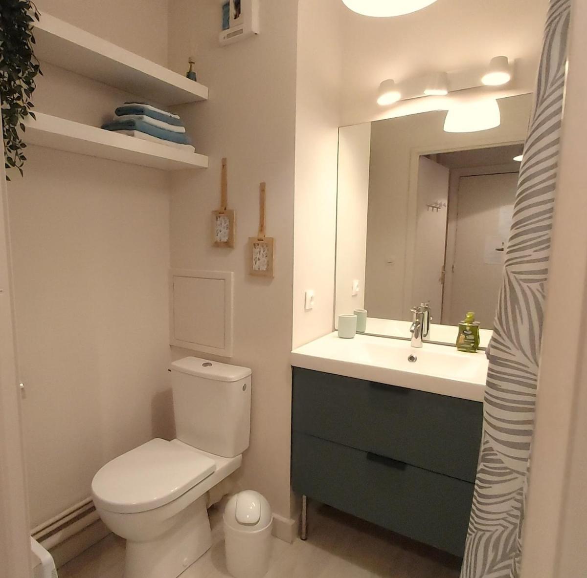 Les Capitouls - Avec Entree Autonome, Clim Neuve, Jardin, Parking Prive & Sa Piscine ! - Apartman Toulouse Kültér fotó